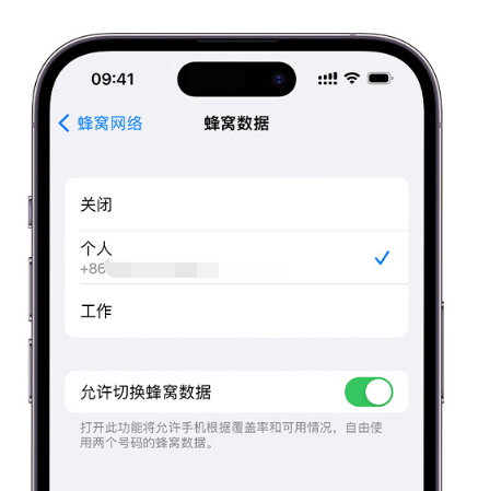 鹤峰苹果维修服务分享如何在iPhone上使用双卡 